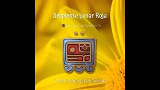 Kin 145: Serpiente Lunar Roja