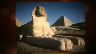 Predator Software