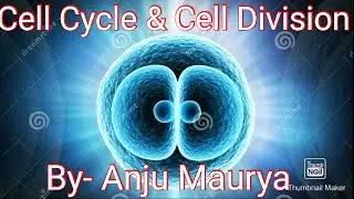 Brief discussion about meiosis!  Cell Cycle & Cell Division Lecture- 4( NEET 2020)  By-Anju Maurya