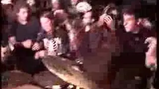 Lightning Bolt - Dracula Mountian (Live halloween)