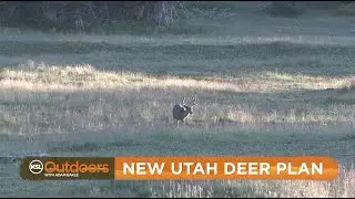 New Utah Statewide Deer Management Plan Approved