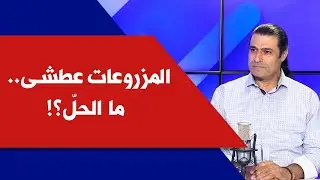 المزروعات عطشى.. ما الحلّ؟! مع الخبير الزراعي مروان حيدر في ترابك دهب