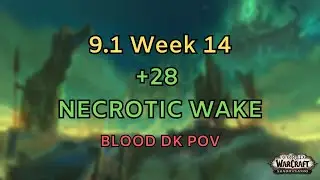 [9.1] Week 14 | +28 Necrotic Wake | Blood DK POV