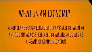 Exosomes: potential drug delivery agents?