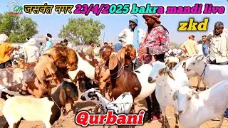 जसवंत नगर bakra mandi live April 23 2025 zkd | Qurbani bakre आज था सस्ता माल कियाँ | goat farming