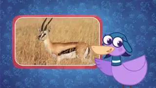 10 things about the Serengeti | Facts for Kids | Hogie the Globehopper | Geography Cartoons for Kids