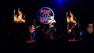 Perros y Gatos - Cuál Es (En Vivo en Sala Formosa)