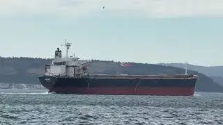 ANEMOS Bulk Carrier / Getreidefrachter in der Meerenge der Dardanellen auf dem Weg nach Istanbul