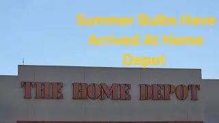 2026 Summer Blooming Bulbs,  Rhizomes and Roots Have Landed At Home Depot 