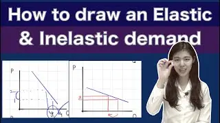 3-3. How to draw inelastic/elastic demand graphs
