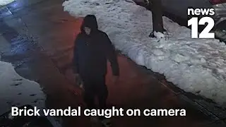 Эксклюзивное видео показывает, как мужчина бросает кирпичи в здание в Бруклине | News 12