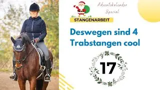 Deswegen sind 4 Trabstangen cool I Adventskalender T&uuml;rchen Nr. 17