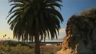 Save Trestles and San Onofre PSA