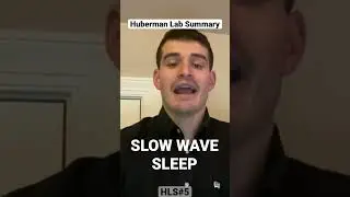 What is slow wave sleep? Watch the Huberman Lab Summary today!