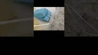 MAUS
