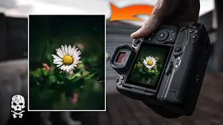These Tips Make Nature Photography So Much Easier