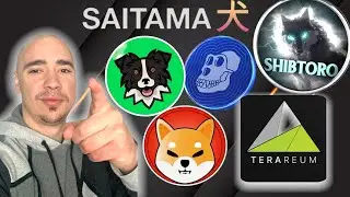 КРИПТО НИКОГДА НЕ ОСТАНАВЛИВАЕТСЯ! SHIBTORO, SHIBA INU, TERAREUM, APECOIN И ДРУГИЕ!