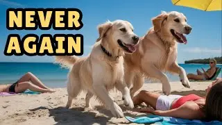Golden Retriever BEACH DAY Chaos!