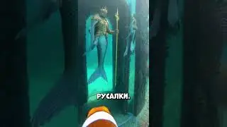 Найдено под водой: что сняла камера на Немо #shorts