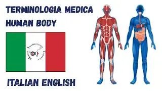 9 Circulatory Il corpo Umano terminologia medica | Medical terminology  #italianlanguage