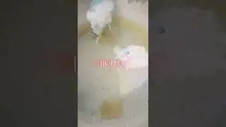 #food #cooking #snake #shortvideo