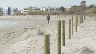Els treballs de restauraci&oacute; de l&rsquo;espai protegit de la Platja Llarga a VNG comen&ccedil;aran aquest agost