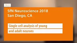 TALK: Single cell analysis of young and adult neurons
