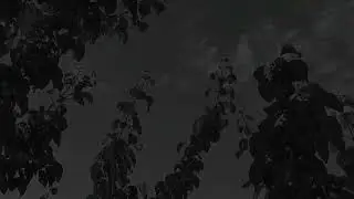 Crogg - Veil of Silence [Official Video]