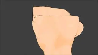 Anime Masculine Head 360 1.1