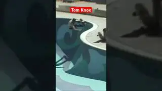 Legendary Skateboarder Tom Knox Shreds World Famous Vagabond Pool