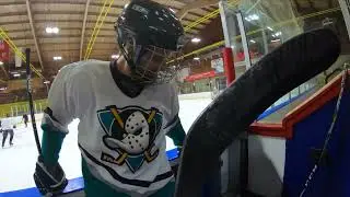 Feisty Pucks Feb  19