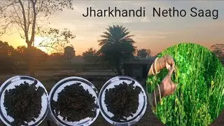  झारखंडी नेठो साग बनाने का तरीका।Jharkhandi Netho Saag Banane Ka Tarika 
