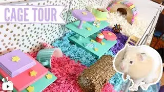 Rainbow themed hamster cage! 🌈🐹