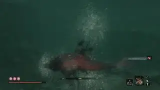 Sekiro - 84 Mibu Village #5 Diving (Precious Bait, Treasure Carp, Red Carp Eyes, Prayer Bead)