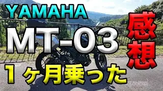【YAMAHA MT-03 １ヶ月乗った感想】空波鳥の呟き2024