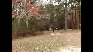 Kaufinator Skip Ace!