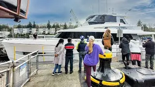 Watch Boats pass through the Ballard Locks | Seattle Walk Tour 2022 🚶