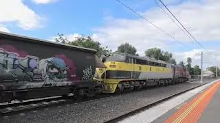 P14 S317 on Grain at Middle Footscray