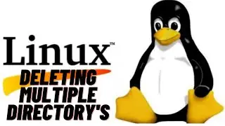 How to delete multiple directory's in linux terminal