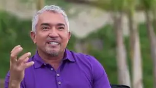 Meaning of Leadershp byCesar  Millan