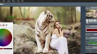 PaintMagick image editor online