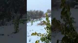 شركة ال جعفر ثلوج الخير #إدلب #سوريا #idlib #syria #travel #سياحة