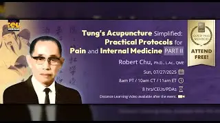 Tung's Acupuncture Simplified: Practical Protocols for Pain and Internal Medicine, Part II