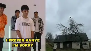 Screaming Chicken On Tree Meme / I Prefer Kanye I'm Sorry