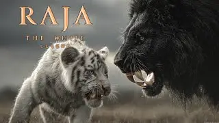 Survival of the White Tiger: RAJA (Cinematic AI Film) #Wildlife #MOVIE #animals