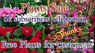 Plants sale# 5k subscribers celebration # Free plants for customers # 