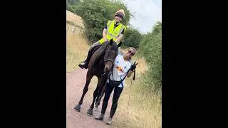 Pilot&rsquo;s Paddock Adventures - another little walk out