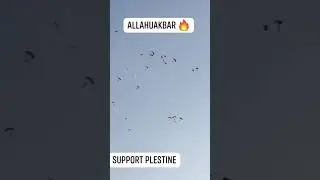 This is Original Pubg Palestine #pubg #palestine #shortsfeed #War #musquealaksha #youtubeshorts