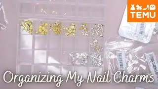 Nail Charm Storage Box | Temu Finds | Nail Art Organization #15 | Temu Nail Supply Haul