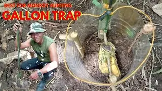 Part #2 GALLON TRAP BEST FOR MONKEY HUNTING// TUTORIAL